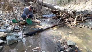 Gold Panning Arizona Runoff at Lynx Creek  Prescott  Arizona Gold Panning and Prospecting [upl. by Artcele]