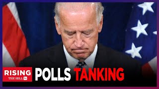 Biden Would Suffer MASSIVE Loss To Trump New Polling Predicts [upl. by Jareb]