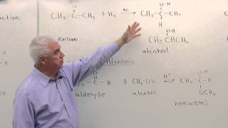 Reactions of Aldehydes amp Ketones [upl. by Sunny]