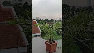 Rooftop view [upl. by Siradal]