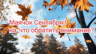 Важно обратить внимание в Сентябре на что [upl. by Joleen]