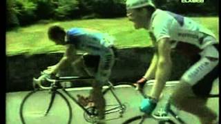 TOUR DE FRANCIA 1991 VALLOURON [upl. by Rollins530]