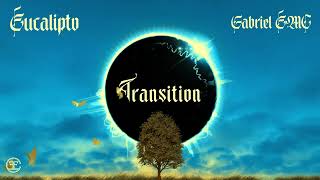 Gabriel EMC  Eucalipto OFFICIAL VISUALIZER  Transition 🌓💿 [upl. by Sutphin]