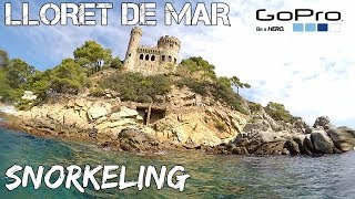 MUST SEE SNORKELING GUIDE  LLORET DE MAR SA CARAVERA SPAIN [upl. by Suckram471]