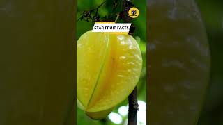 Star Fruit Facts shorts factsvideo [upl. by Artap875]