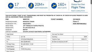 Kathmandu To Surkhet By Flight  Surkhet To Dailekh By Road  First Time  Solo Travel [upl. by Ikiv]