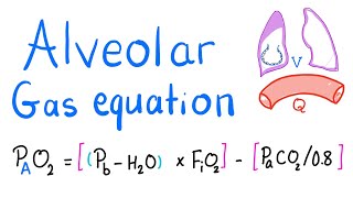 Alveolar Gas Equation  Alveolar arterial Aa gradient Oxygen amp Carbon Dioxide  Lung Physiology [upl. by Abana]