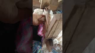 Cotton seed removal process using traditional methods [upl. by Yole]