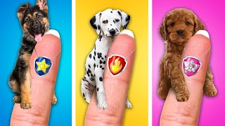 Pet Rescue Hacks How We Saved Chase the Puppy 🐾 by Poptartoo [upl. by Anikes]