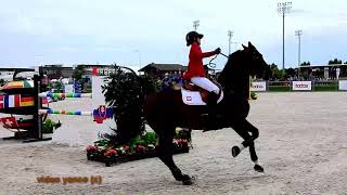 Horse show jumping falls compilation [upl. by Iras]