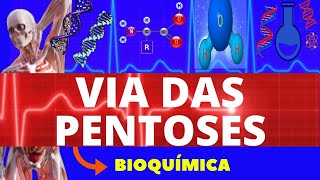 VIA DAS PENTOSES FOSFATO ENSINO SUPERIOR  BIOQUÍMICA  VIA METABÓLICA DA GLICOSE [upl. by Lucho]