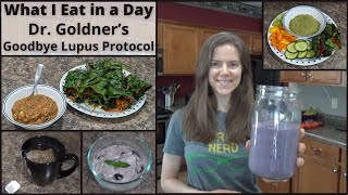 What I Eat in a Day Following Dr Goldners Goodbye Lupus Protocol [upl. by Yrmac]