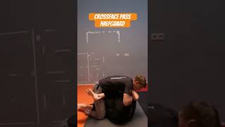 Crossface pass halfguard bjj jiujitsu mma grappling [upl. by Arvonio]