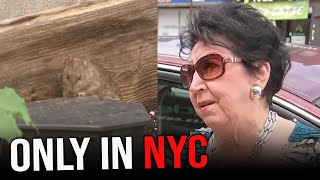 Old lady FINED 600 for reporting rat sighting to the NYC rat hotlinewait WHAT [upl. by Armilda]