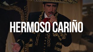 HERMOSO CARIÑO  Vicente Fernández LETRA [upl. by Ovida]