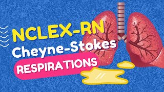 CheyneStokes Respirations  High Yield NCLEXRN Question Review [upl. by Nelli]