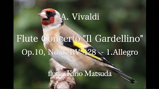 Flute Concerto quotIl Gardellinoquot  1Allegro A Vivaldi flute  Kirio Matsuda [upl. by Shermy]