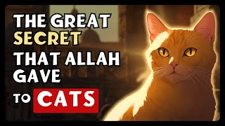 The Amazing MYSTERIES of CATS in Islam [upl. by Merril387]