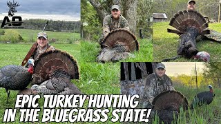 Epic Turkey Hunting in Kentucky The BLUEGRASS STATE [upl. by Legyn]