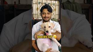 Baal Chote Kara Liye🥲🥲 shorts vlog minivlog haircut hair [upl. by Sivek406]