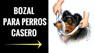 Bozal para perros Como fabricar uno en tu casa  Muzzle for Dogs [upl. by Sewel]