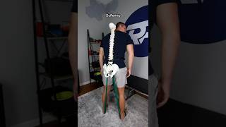 AtHome Sciatica Test [upl. by Valentia]