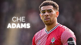 Che Adams  Season Highlights  2024 [upl. by Heyde373]