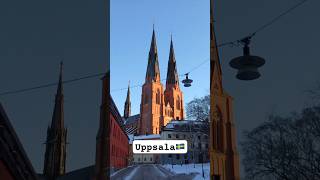 Uppsala Cathedral sweden uppsala music [upl. by Nyletac394]