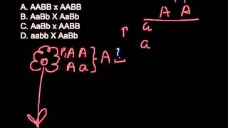 Which of the following is the testcross How to find if the plant is homozygous or heterozygous [upl. by Anemolif179]