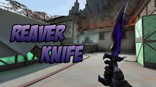 REAVER KNIFE SKIN SHOWCASE REAVER DAGGER  VALORANT REAVER SKINS [upl. by Ahsieki]