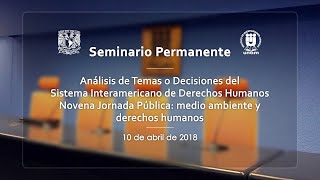 Obligación de los Estados Prevenir Daños Ambientales Dentro o Fuera del Territorio IIJUNAM 23 [upl. by Cohby692]