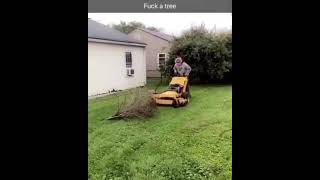 POV the lawnmower ate a tree for breakfast [upl. by Furtek]