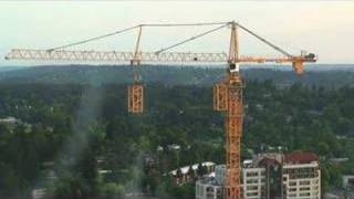 Crane Building Itself [upl. by Annawal]