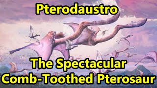 Pterodaustro The Spectacular CombToothed Pterosaur [upl. by Drofub]