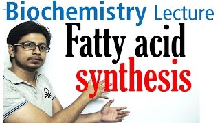 Fatty acid synthesis [upl. by Adiaz]