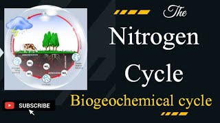 Nitrogen Cycle ExplainedHow nitrogen changes life on earthEnvironmental science [upl. by Shaughn905]