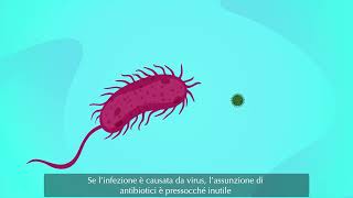 Antibiotici come e quando usarli [upl. by Anivram382]