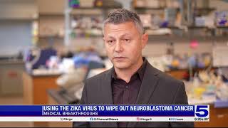 Medical Breakthroughs Using the Zika Virus to wipe out Neuroblastoma cancer [upl. by Annayek]