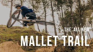 The AllNew Mallet Trail  Define Your Trail [upl. by Natsyrt]