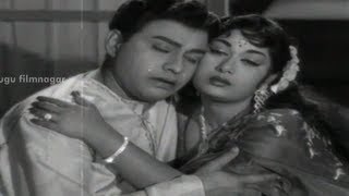 Neevu Full Video Song  Manushulu Mamathalu Telugu Movie Video Songs  ANR  Jayalalitha  Savitri [upl. by Connel]