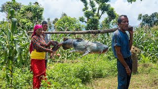 Caught A Huge Fish And Cooking a Delicious Curry in Traditional Nepali Village Kitchen [upl. by Oetsira]