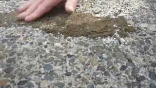 HOW TO Apply amp Match crack filler to exposed aggregate driveway [upl. by Deckert704]