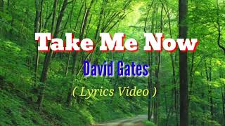 Take Me Now Lyrics Videoby David Gates [upl. by Anawt]