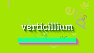 How to say quotverticilliumquot High Quality Voices [upl. by Orgell]