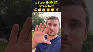 5 Shockingly Easy Steps to Harvest Honey 🍯🐝  Unbelievable Results [upl. by Milton]