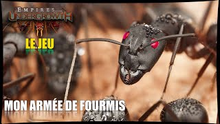 MON ARMÉE DE FOURMIS ▬ EMPIRE OF THE UNDERGROWTH LE JEU ▬ GAMEPLAY FR 2 [upl. by Rogozen]