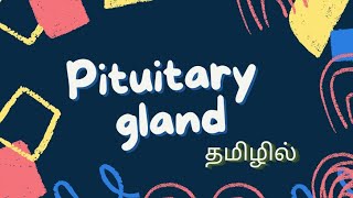 PITUITARY GLAND  ADENOHYPOPHYSIS  NEUROHYPOPHYSIS  LOCATION  PARTS  HORMONES  IN TAMIL [upl. by Tacye]