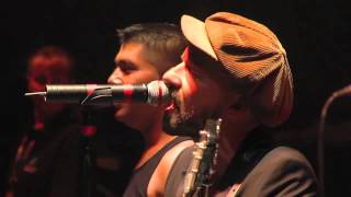 Shantel amp The Bucovina Club Orkestar Live  Disko Partizani  Sziget 2012 [upl. by Frum344]