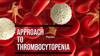 Approach to Thrombocytopenia pathology pathologylab hematology smear [upl. by Eedrahc]