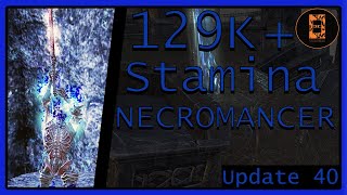 129K  Stamina Necromancer  Infinite Archive  PvE Guide [upl. by Burwell]